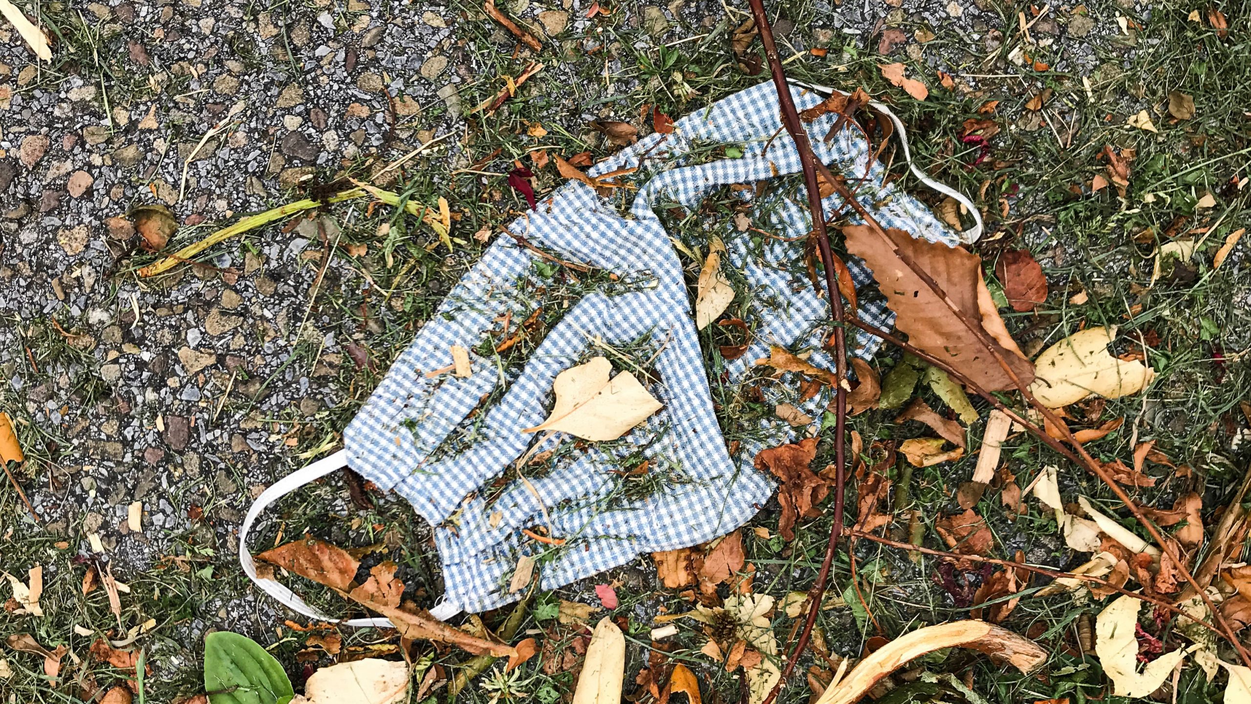 Colima retira el uso obligatorio de cubrebocas en espacios públicos abiertos Colima retira el uso obligatorio de cubrebocas en espacios públicos abiertos