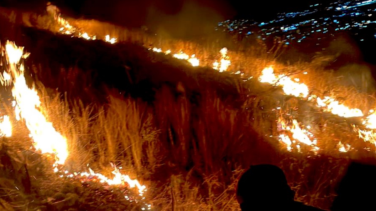 Brigadas atienden incendio forestal cerca de la zona arqueológica de Monte Albán, en Oaxaca