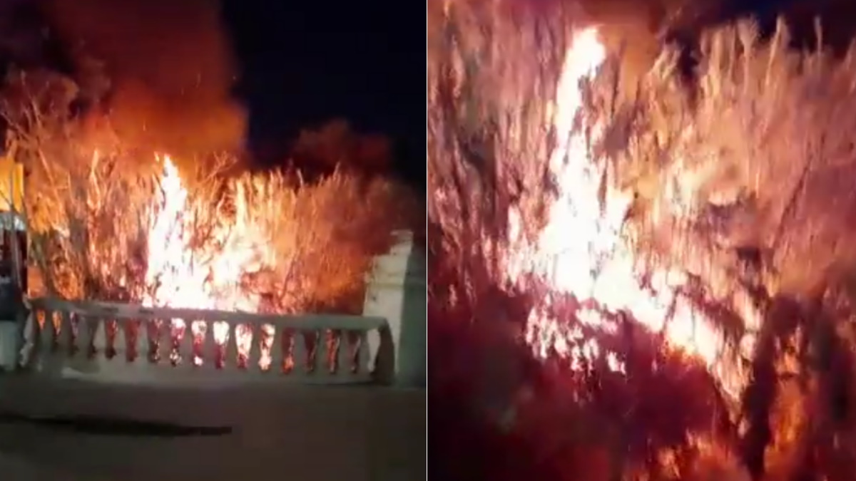 Bomberos controlan incendio en el Centro de Oaxaca Bomberos controlan incendio en el Centro de Oaxaca