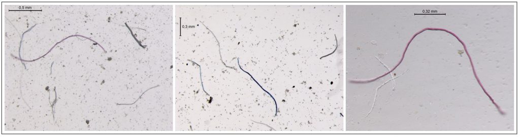 Hallan microplásticos de origen humano en el océano austral de la Antártida - microplasticos-antartida-1024x270