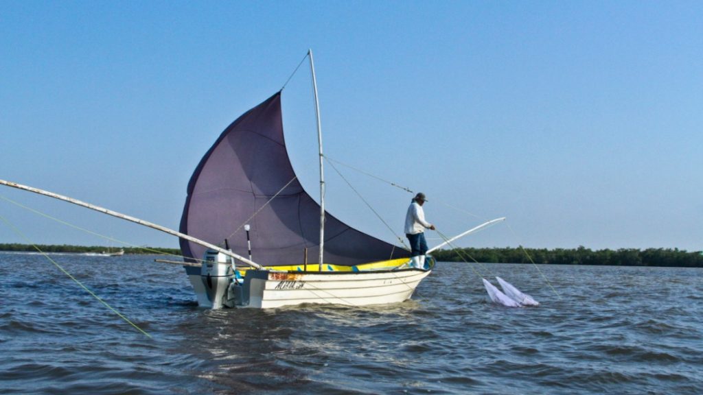 México trabaja para no perder la certificación de camarón ante Estados Unidos - pesca-en-mexico-pescador-1024x576