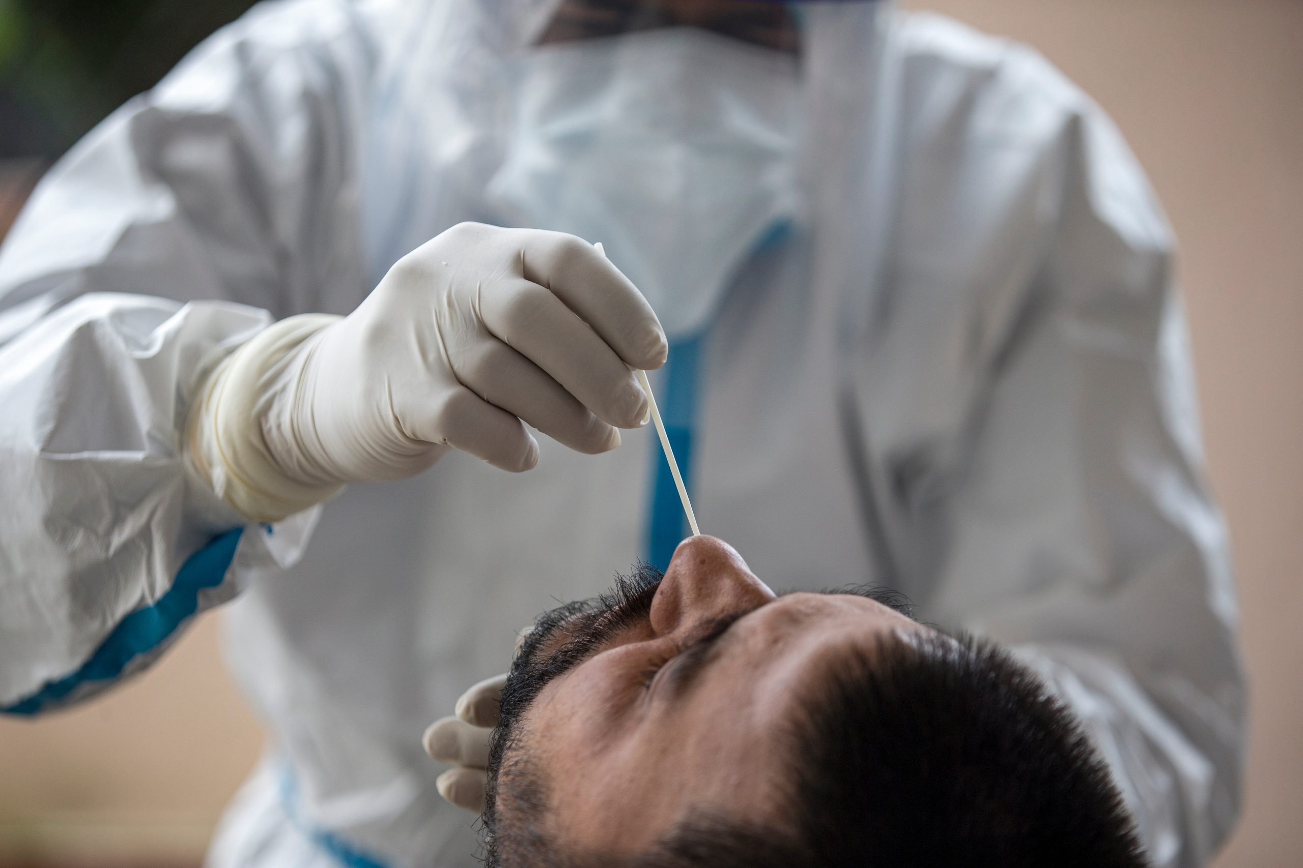 Modelo de nariz humana revela cómo comienza la infección por SARS-COV-2 Modelo de nariz humana revela cómo comienza la infección por SARS-COV-2