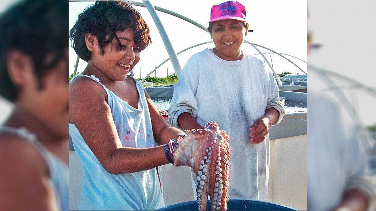 Gaceta UNAM: Granja de pulpos del Mayab Gaceta UNAM: Granja de pulpos del Mayab