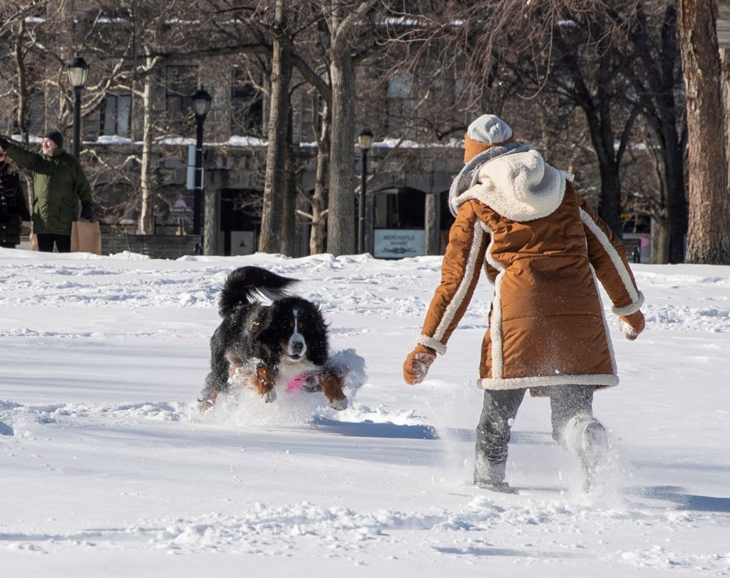 Miles de vuelos cancelados por tormenta invernal en Estados Unidos - tormenta-invernal-estados-unidos-2-1024x810