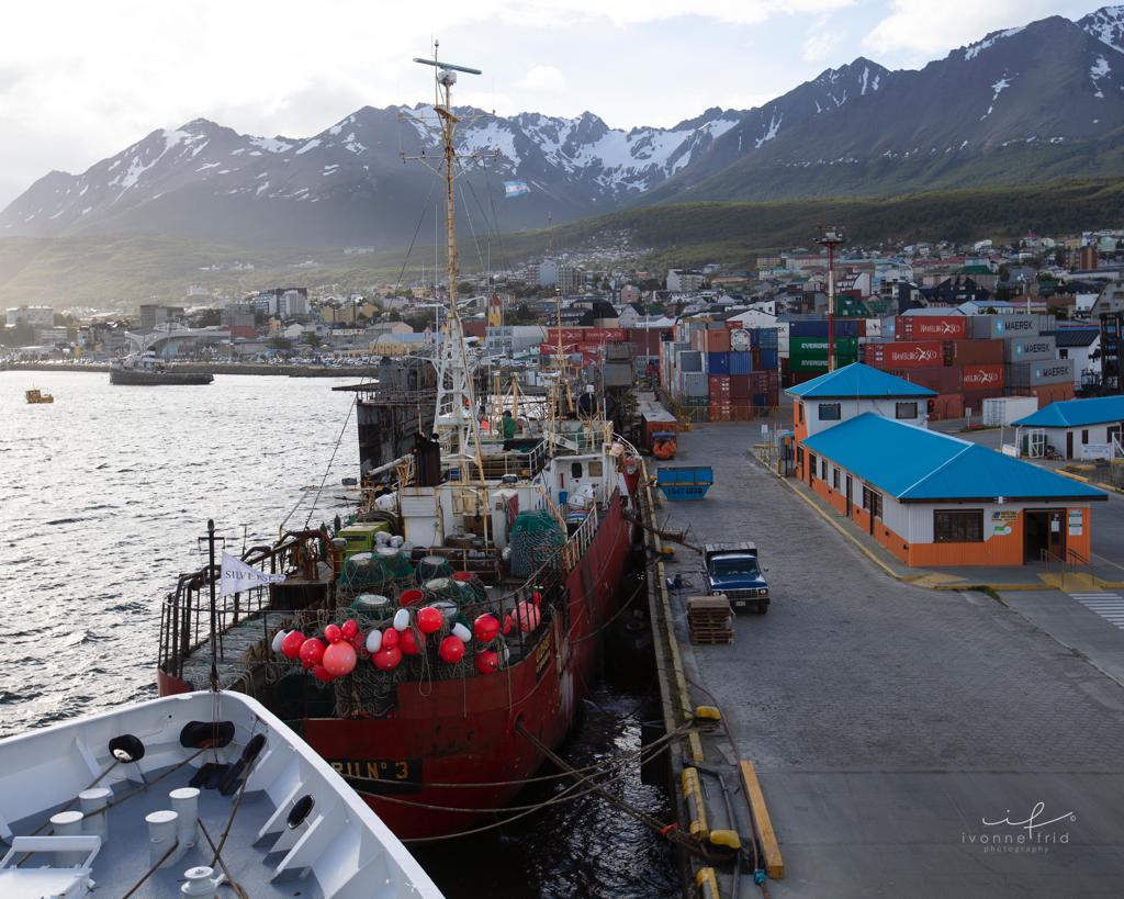 El fin del mundo, por Ivonne Frid