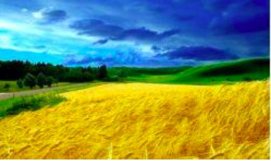 Cincuenta y siete - ucrania-57-claudia-gomez-dz-2