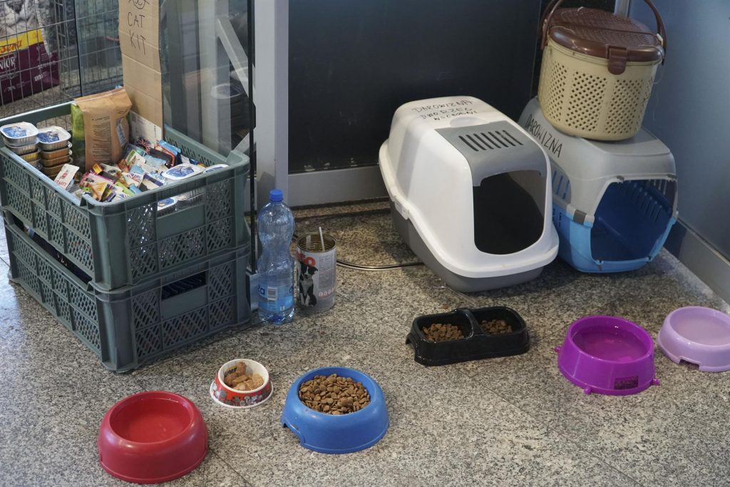 Mascotas, las otras protagonistas de la guerra en Ucrania - areneros-y-comida-para-mascotas-de-refugiados-ucranianos-llegados-a-polonia-1024x683