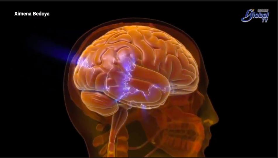 Cannabis medicinal, un recurso eficaz contra la epilepsia