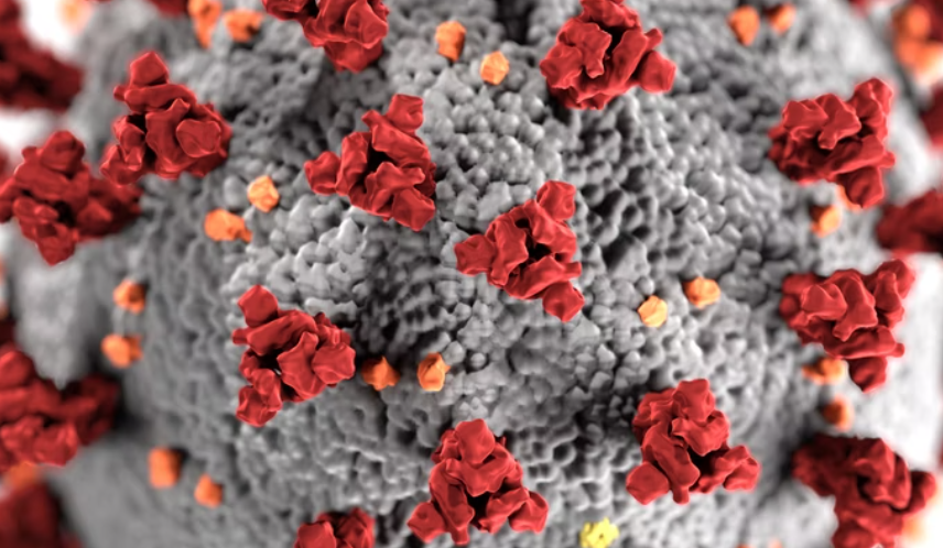 La pandemia en México; el análisis de TResearch