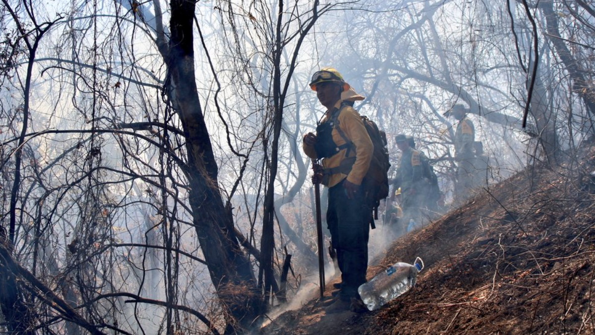 Profepa denuncia a presunto responsable de incendio en el Tepozteco Profepa denuncia a presunto responsable de incendio en el Tepozteco
