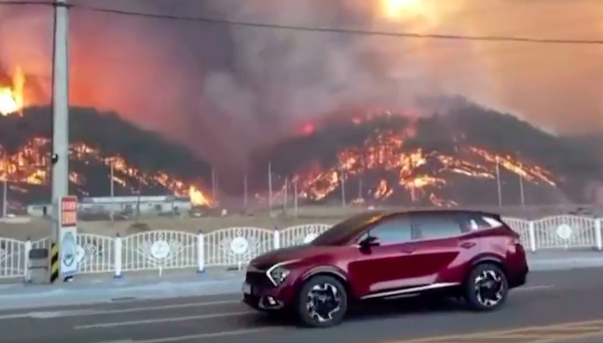#Video Cerca de 700 desalojados por incendio forestal en Corea del Sur