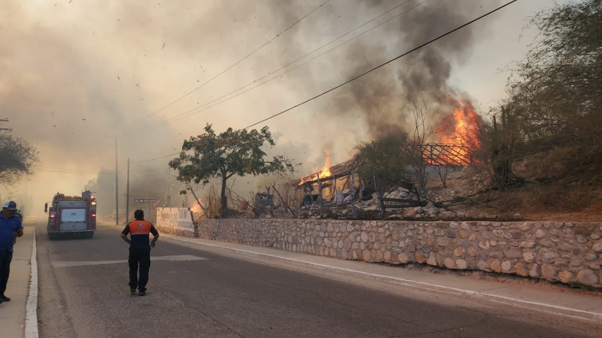 Se desata incendio forestal en Santiago, Los Cabos, Baja California Sur