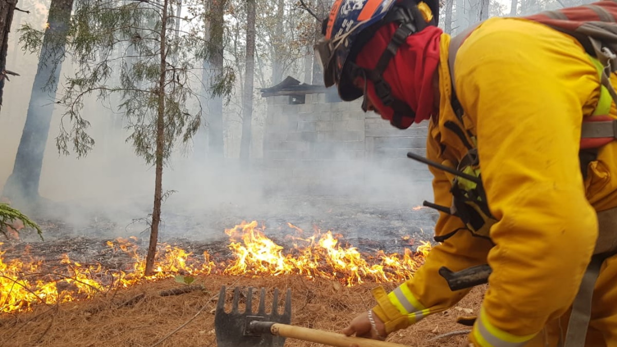 Incendio en la sierra de Santiago, en Nuevo León, afecta mil 200 hectáreas Incendio en la sierra de Santiago, en Nuevo León, afecta mil 200 hectáreas