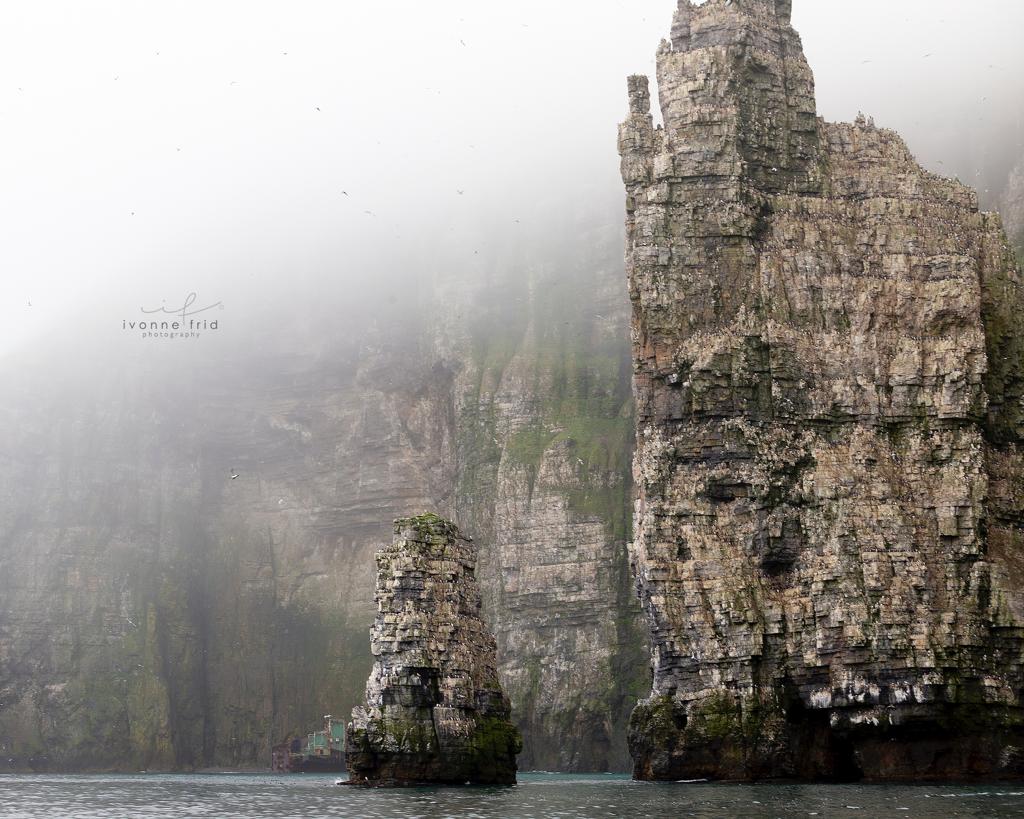 La isla del oso-Bjørnøya, por Ivonne Frid