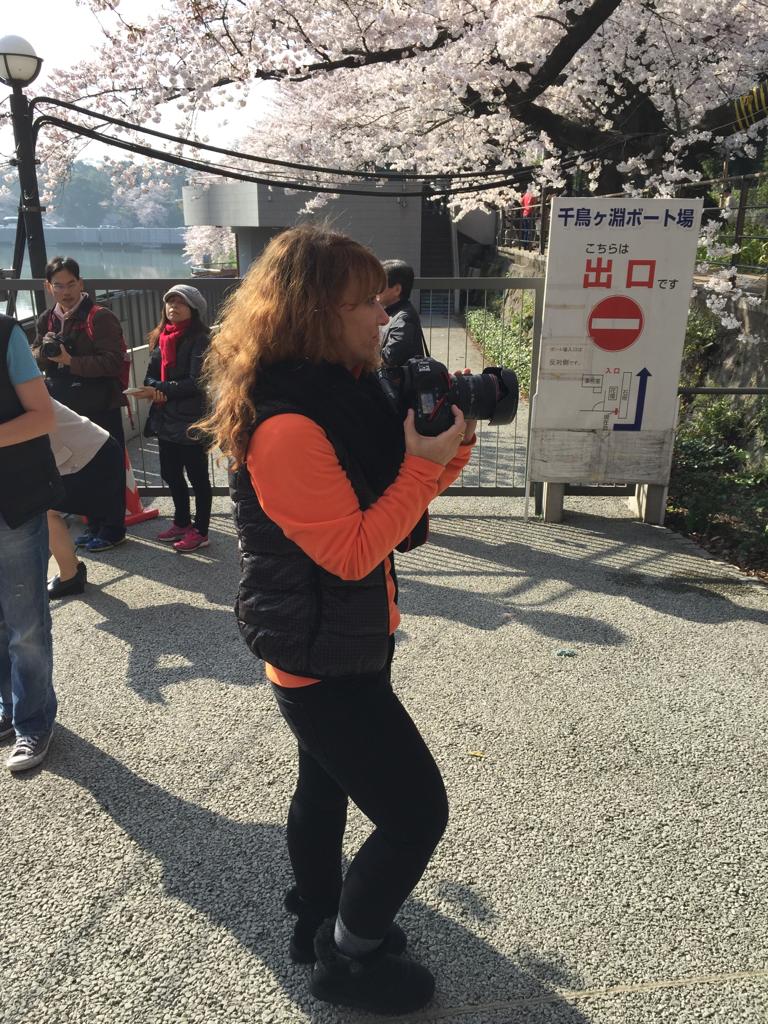 Los fugaces y maravillosos cerezos japoneses - j3