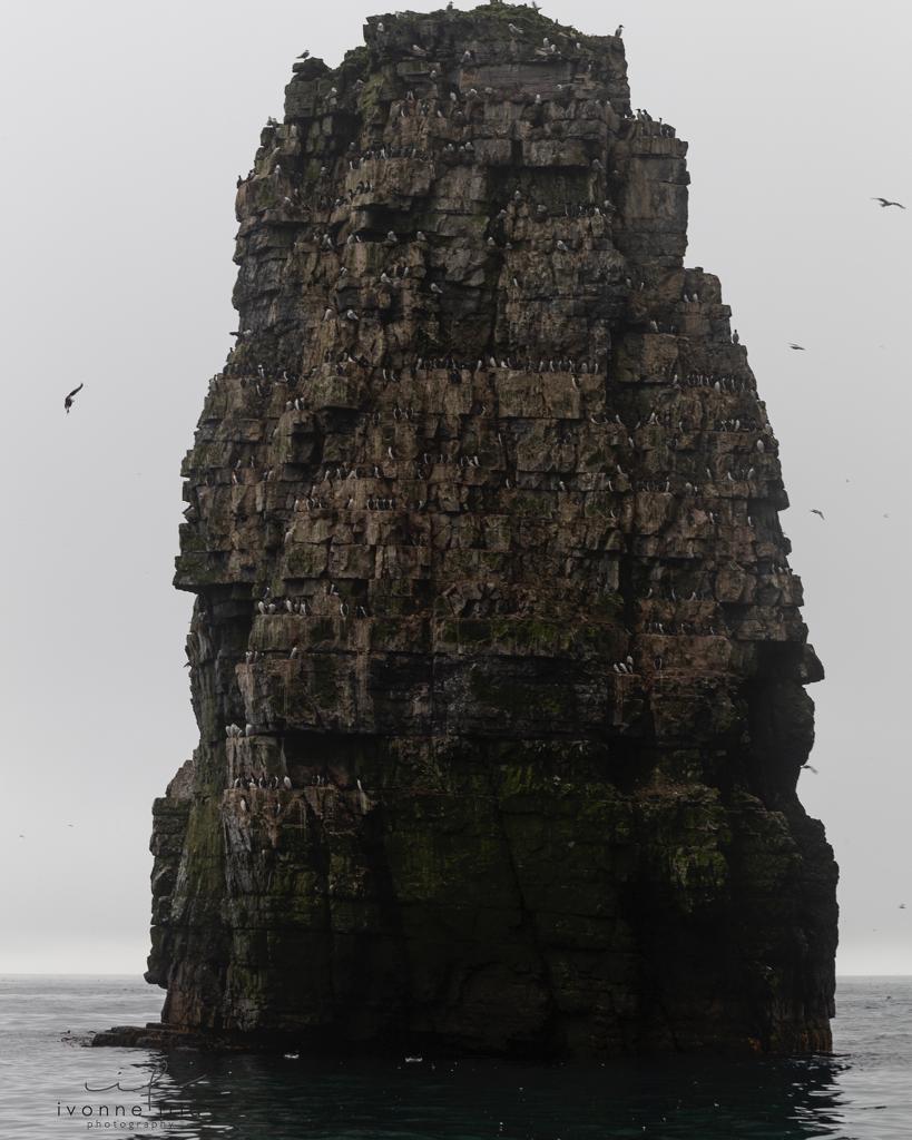 La isla del oso-Bjørnøya, por Ivonne Frid - la-isla-del-oso-bjornoya-1