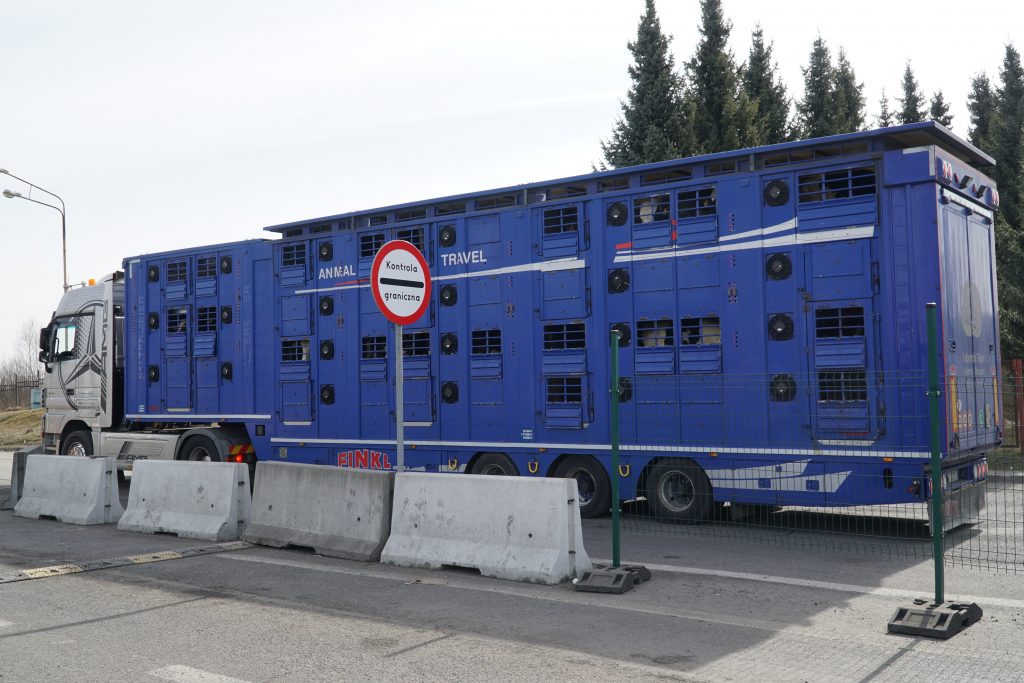 Desaparece transporte mercancías en Ucrania: solo llega ayuda humanitaria - llegada-de-transporte-de-mercancias-1024x683
