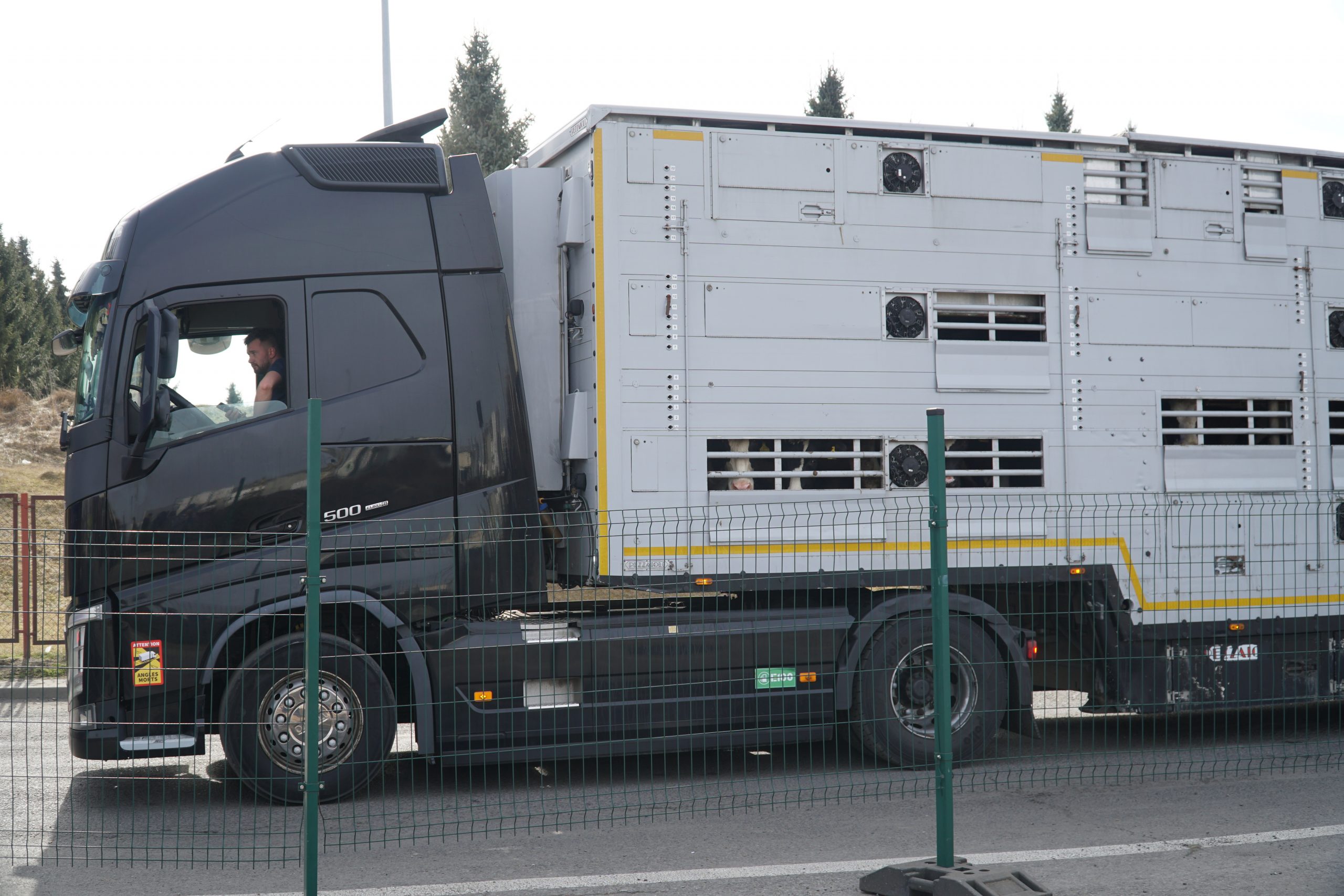 Desaparece transporte mercancías en Ucrania: solo llega ayuda humanitaria