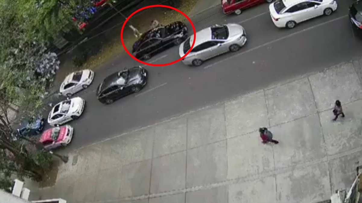 #Video Conductor evita asalto en Polanco y choca con otro automovilista
