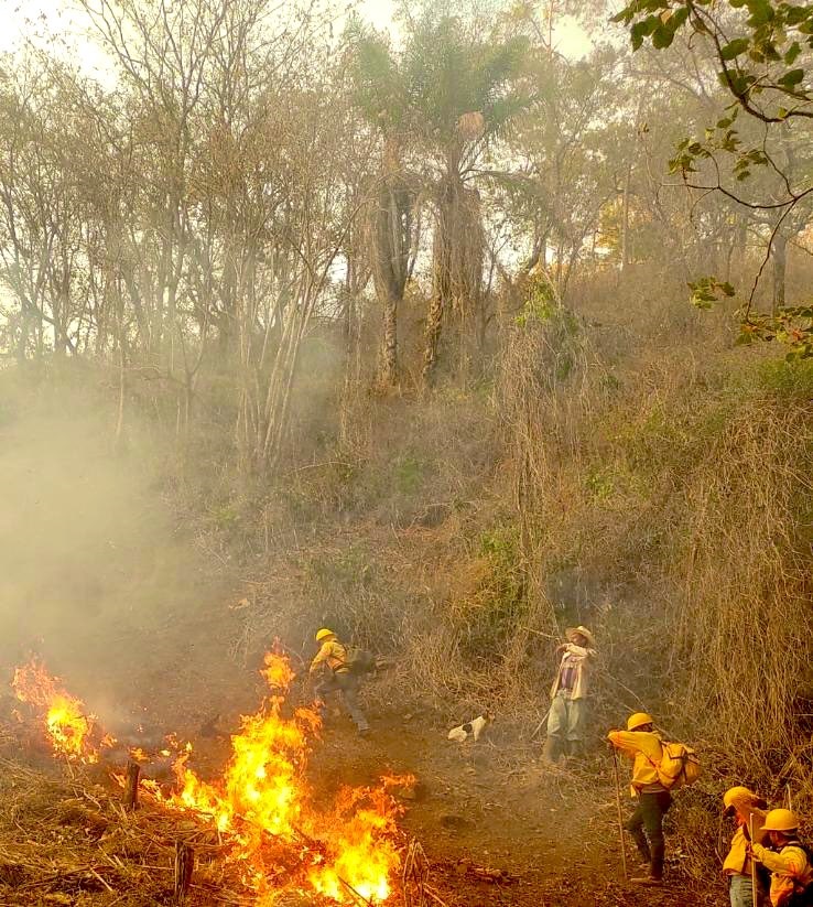 Incendio forestal en Oaxaca deja cuatro comuneros muertos Incendio forestal en Oaxaca deja cuatro comuneros muertos