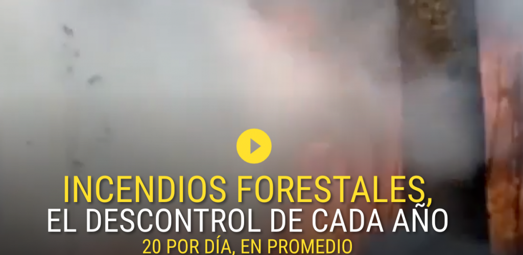 Gaceta UNAM: incendios forestales, el descontrol cada año - captura-de-pantalla-2022-04-04-a-las-110004-1024x500