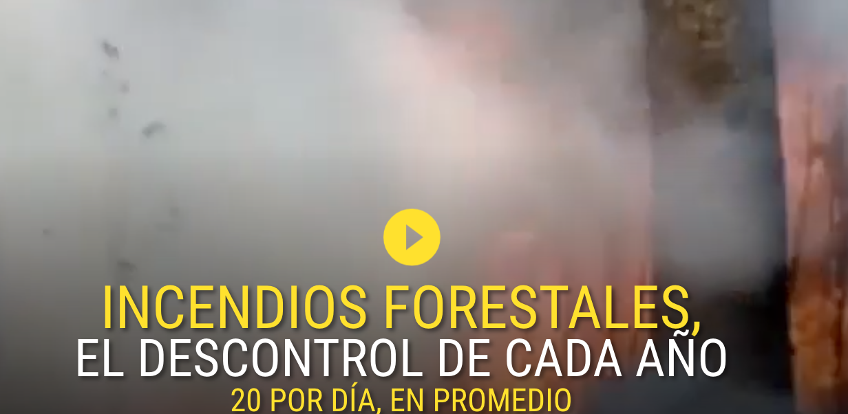 Gaceta UNAM: incendios forestales, el descontrol cada año Gaceta UNAM: incendios forestales, el descontrol cada año