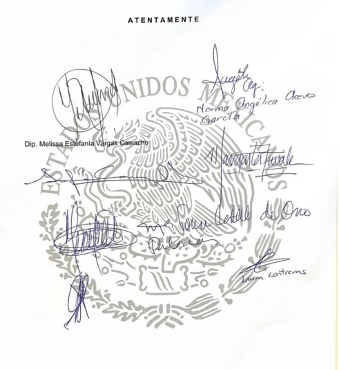 Oposición denuncia ante ONU campaña de Morena en su contra por "traidores a la patria" - carta-onu-4