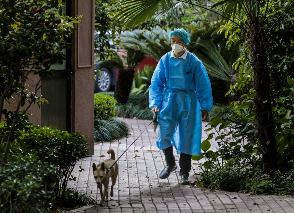 China anuncia tres muertos por COVID-19 en Shanghái y más de 2 mil 700 contagios - china-covid-19-1024x742