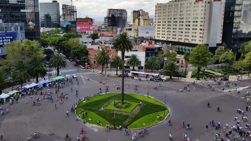 ¿Cómo se podría reemplazar la icónica palmera de Glorieta de la Palma?
