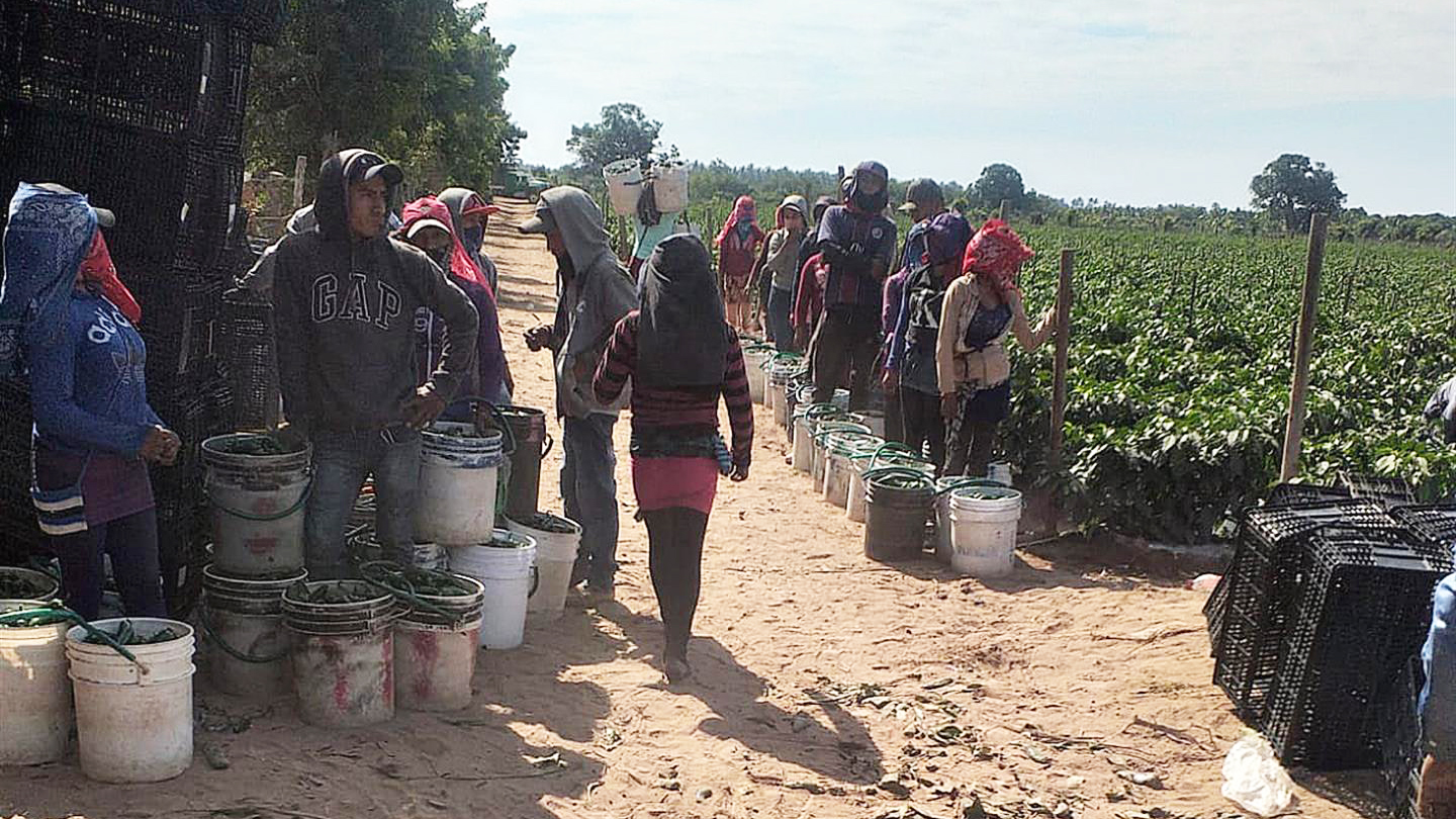Guerrero vive éxodo de campesinos por falta de recursos