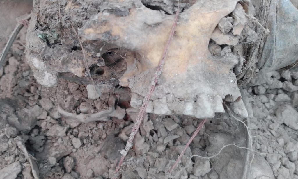 Líder de "Madres buscadoras de Sonora" halla los restos de su hijo en Hermosillo - lider-de-madres-buscadoras-halla-restos-de-hijo-en-fosa-del-norte-de-mexico-hermosillo-sonora-1024x616