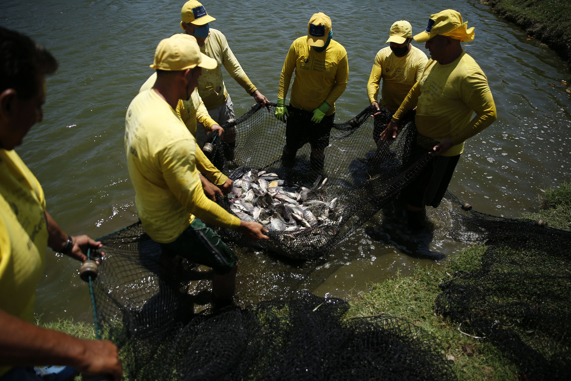 La acuicultura, una forma de rehabilitación de los reos salvadoreños