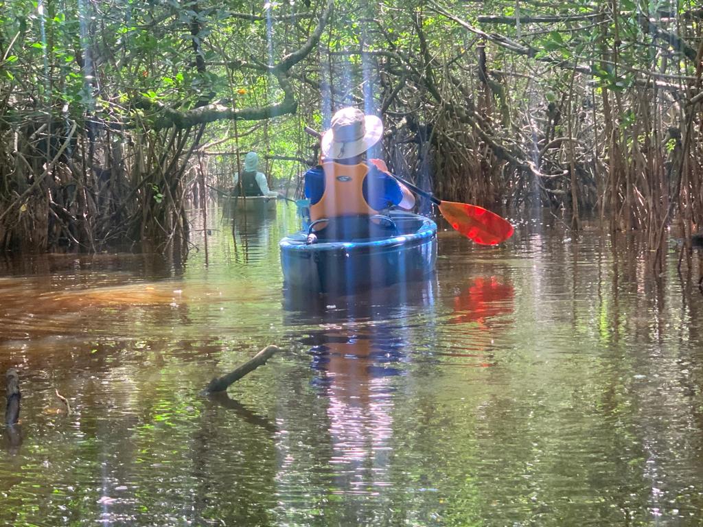 Cambio climático y especies invasoras ponen en peligro el Parque Nacional de los Everglades - a