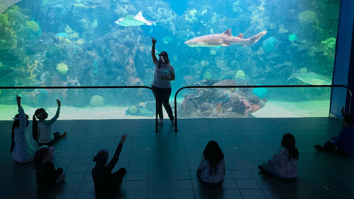 Aguas, ahora van contra el Acuario