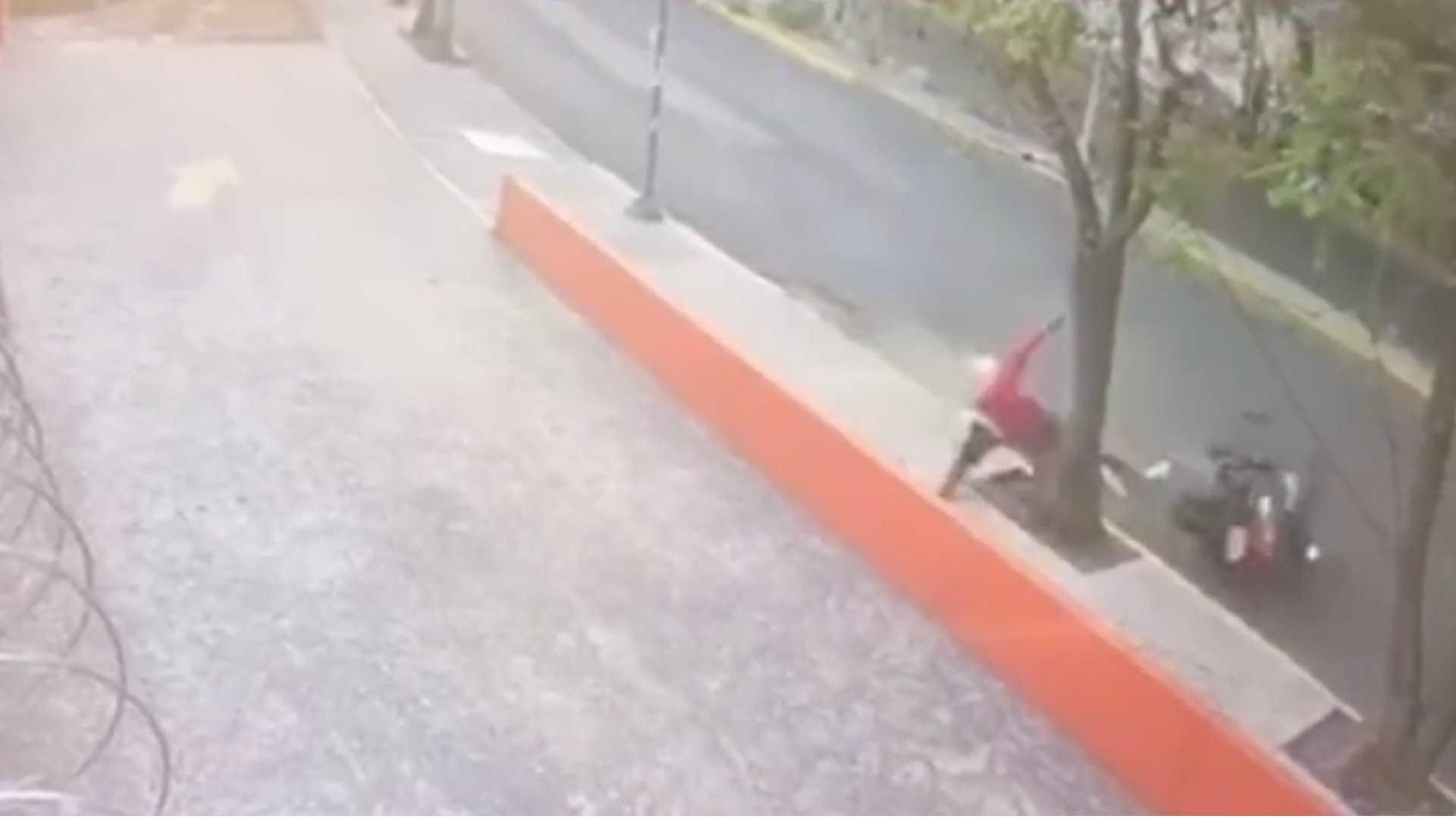 #Video Motociclista murió tras derrapar y estamparse contra un árbol en Álvaro Obregón