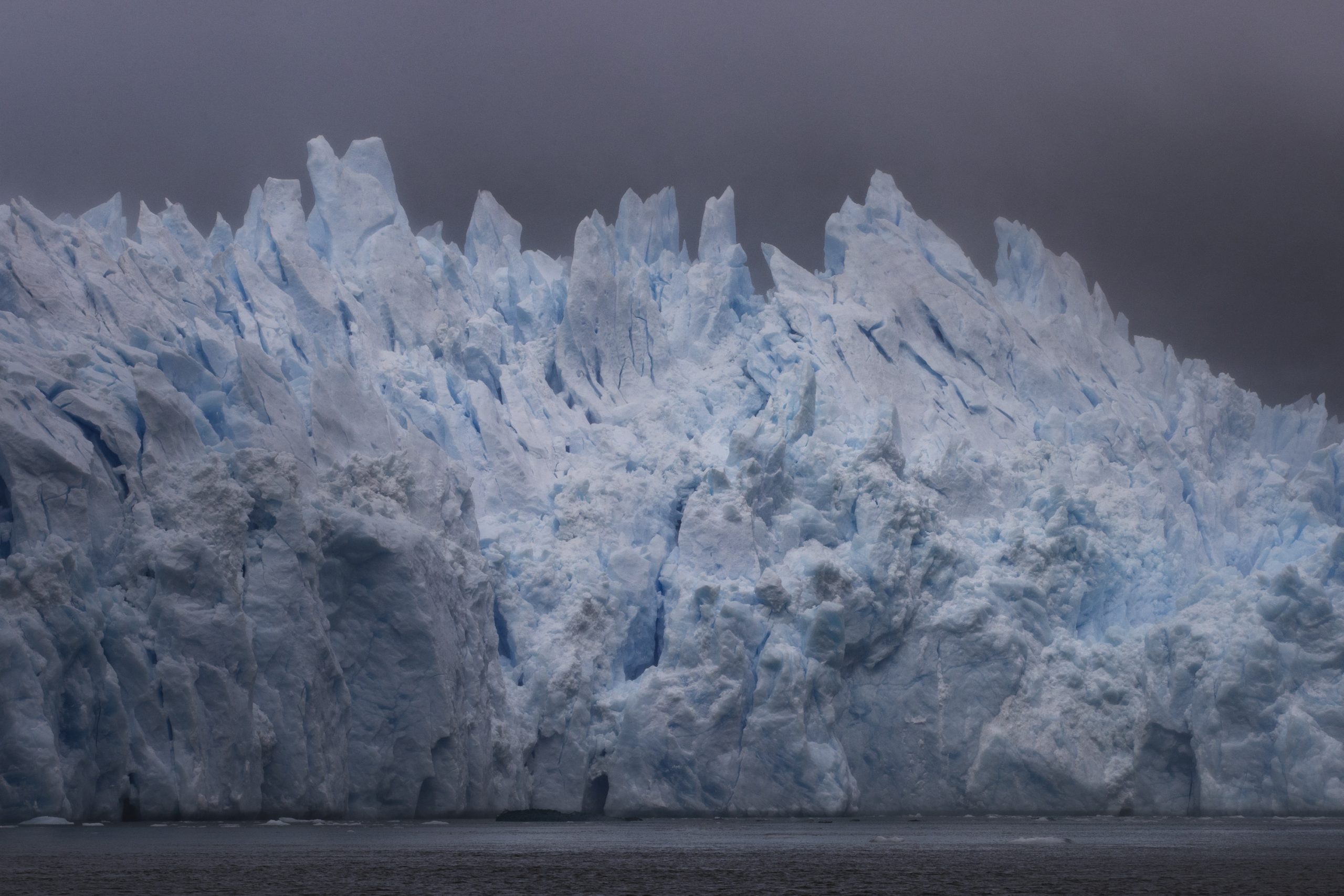 Descubren en la Antártida bacterias “hiperresistentes” a antibióticos
