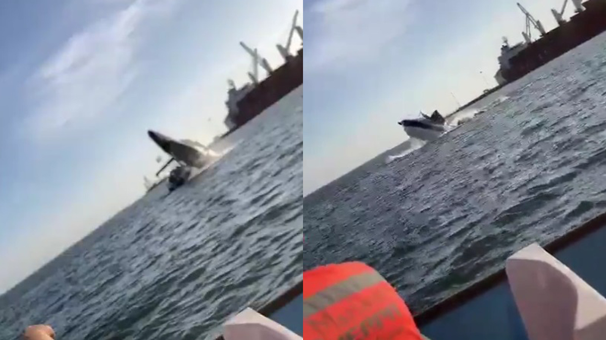 #Video Ballena cae en Sinaloa sobre embarcación pequeña; hay dos lesionados #Video Ballena cae en Sinaloa sobre embarcación pequeña; hay dos lesionados