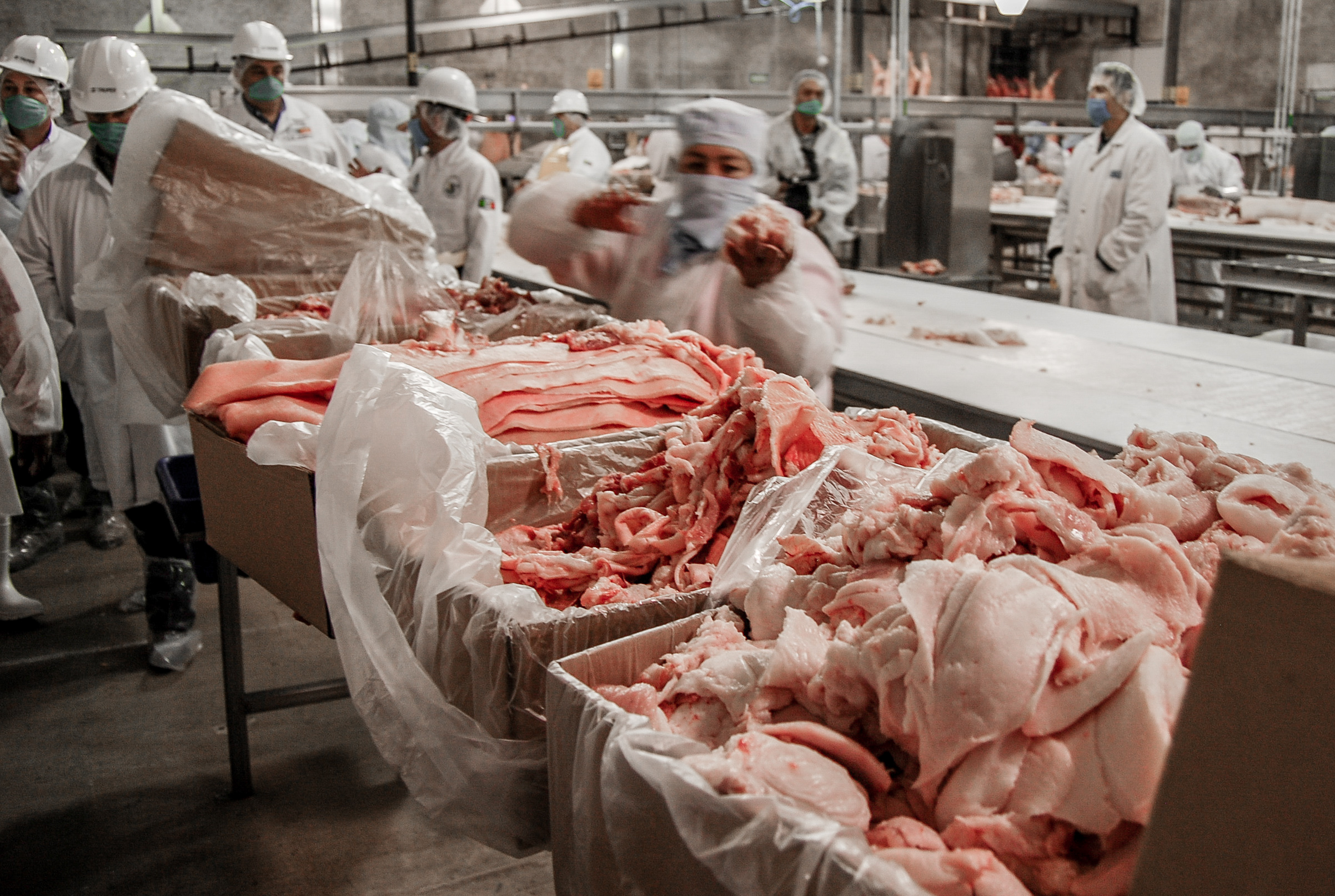 Elimina Gobierno arancel a productos alimenticios de importación Elimina Gobierno arancel a productos alimenticios de importación