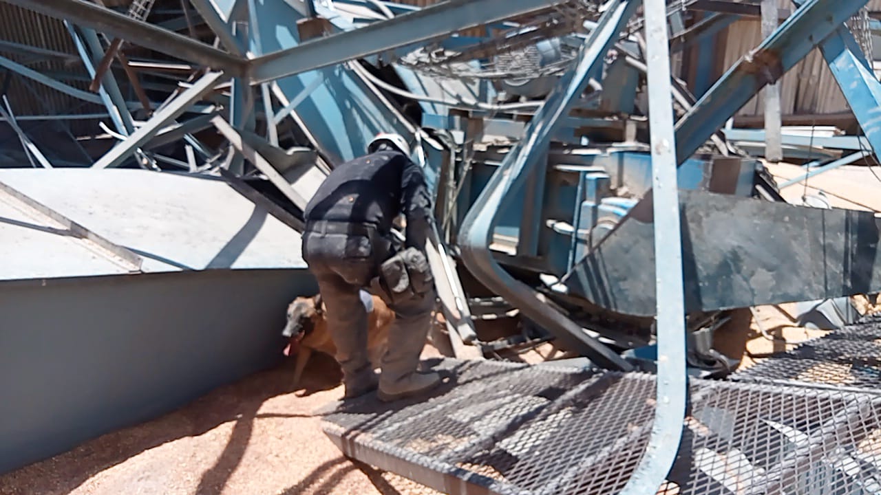 Colapsa silo en Torreón; buscan a trabajador atrapado