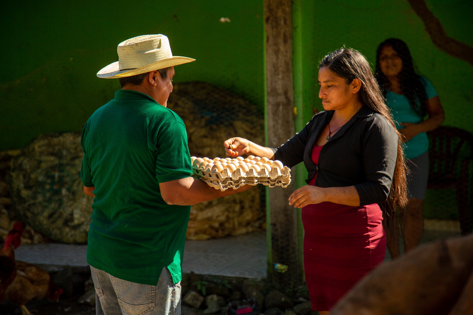 Advierten en Davos que crisis alimentaria puede empeorar en próximos meses