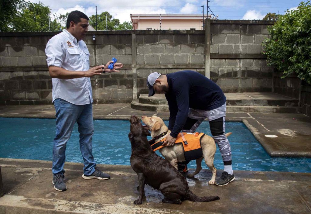 La escuela que ayuda a perros con problemas de socialización - la-escuela-que-ayuda-a-perros-con-problemas-de-socializacion-2-1024x704