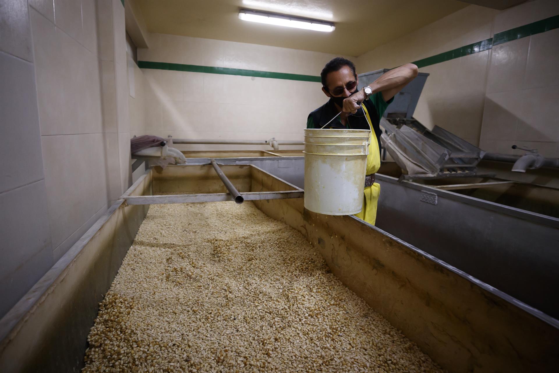 México no estará listo para ser autosuficiente en maíz en 2024, asegura experto