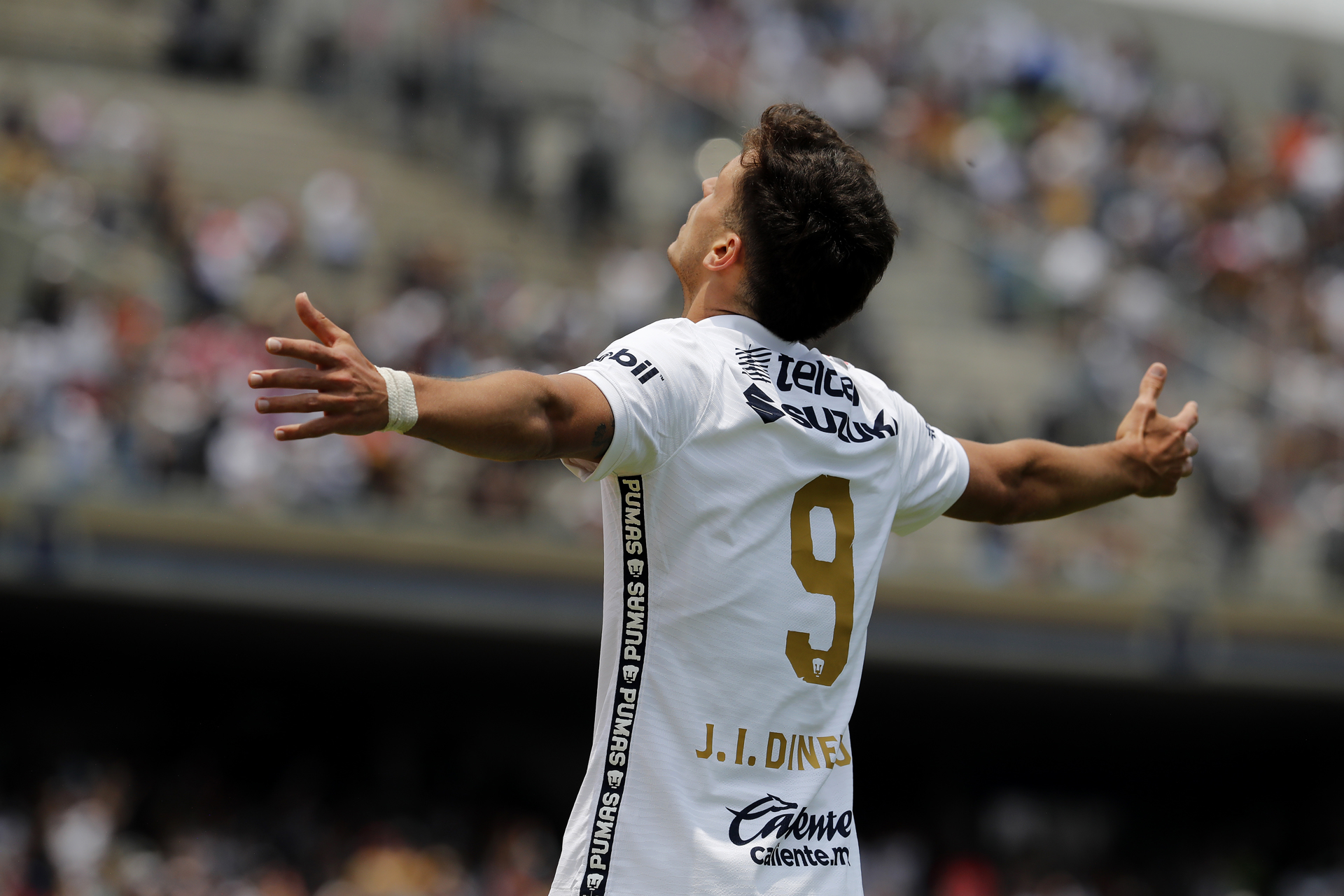 Pumas derrota a los Tuzos y va a repechaje