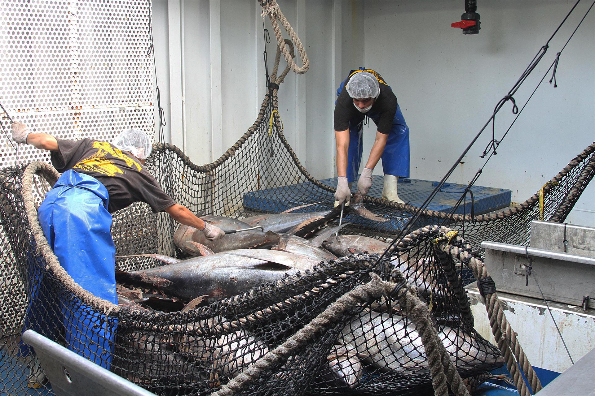 México aumentó su producción pesquera y acuícola en 2021 México aumentó su producción pesquera y acuícola en 2021