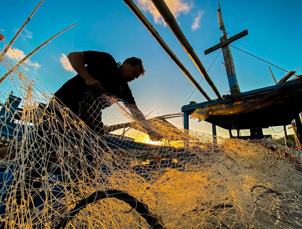México establece zonas de veda para camarón en el Golfo de México y Mar Caribe México establece zonas de veda para camarón en el Golfo de México y Mar Caribe