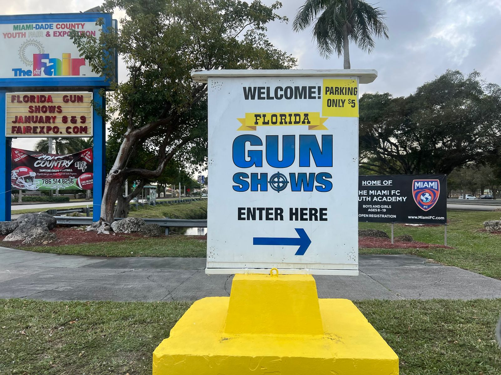 ¿Quieres comprar un arma de fuego? por Ivonne Frid ¿Quieres comprar un arma de fuego? por Ivonne Frid