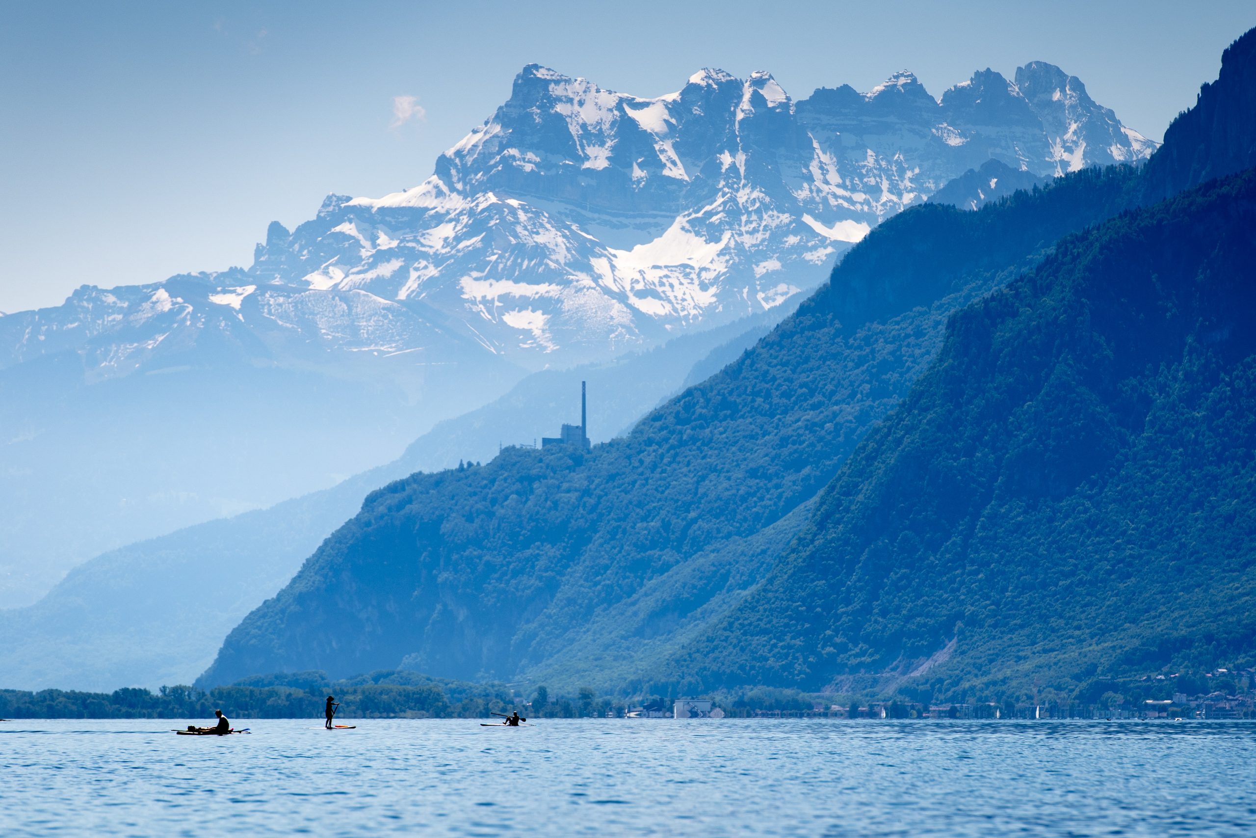 Para conservar la biodiversidad, 44 por ciento de la Tierra debe ser conservada Para conservar la biodiversidad, 44 por ciento de la Tierra debe ser conservada