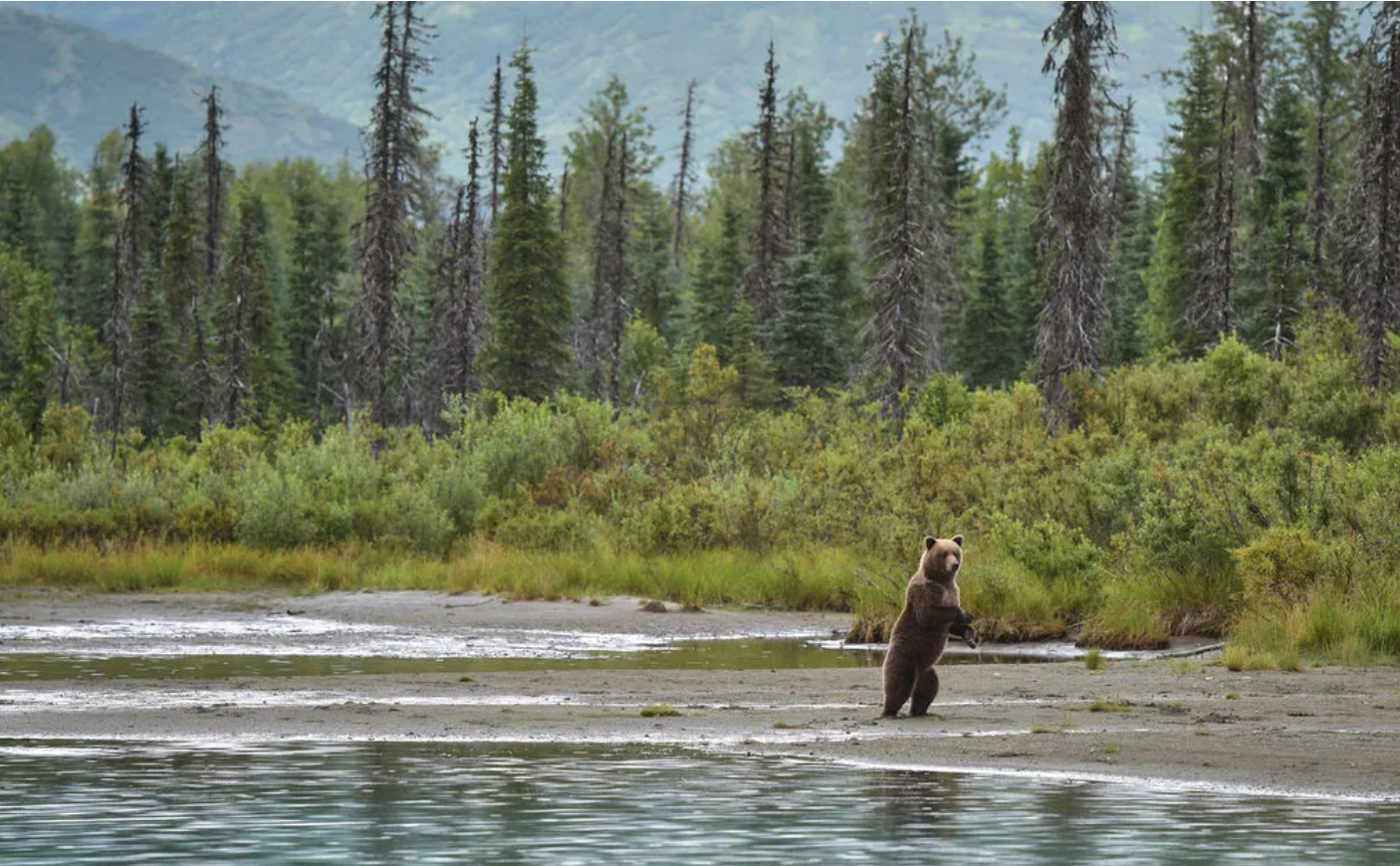 #Fotos Alaska, donde el tiempo parece detenerse #Fotos Alaska, donde el tiempo parece detenerse