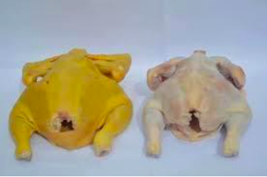 De calabazas y zanahorias - de-calabazas-y-zanahorias-2