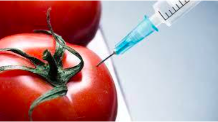 De calabazas y zanahorias De calabazas y zanahorias